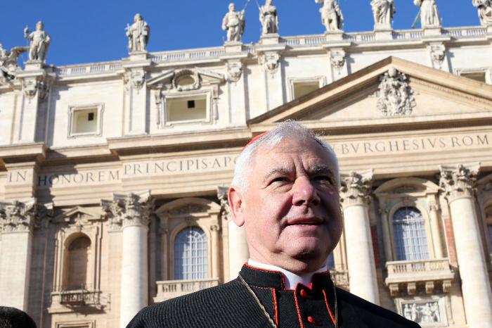 German cardinal Gerhard Ludwig Muller attends Pope Francis' weekly audience in St. Peter's Square on November 19, 2014 in Vatican City, Vatican. During his speech Pontiff appealed for peace in the Middle East. (Photo by Franco Origlia/Getty Imag