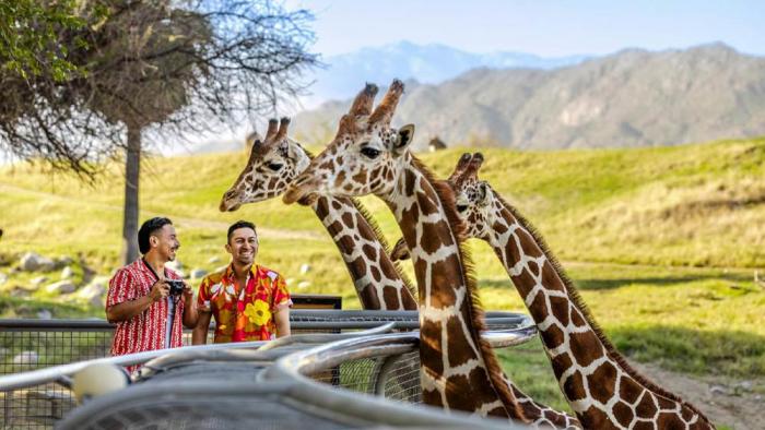 Living Desert Zoo & Gardens