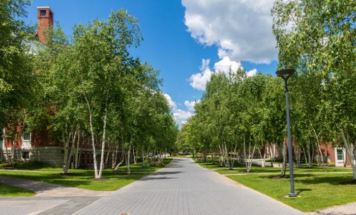 A walkway at Bates College.
