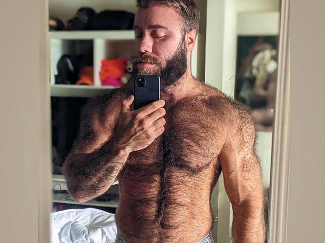Mr. Teddy Bear