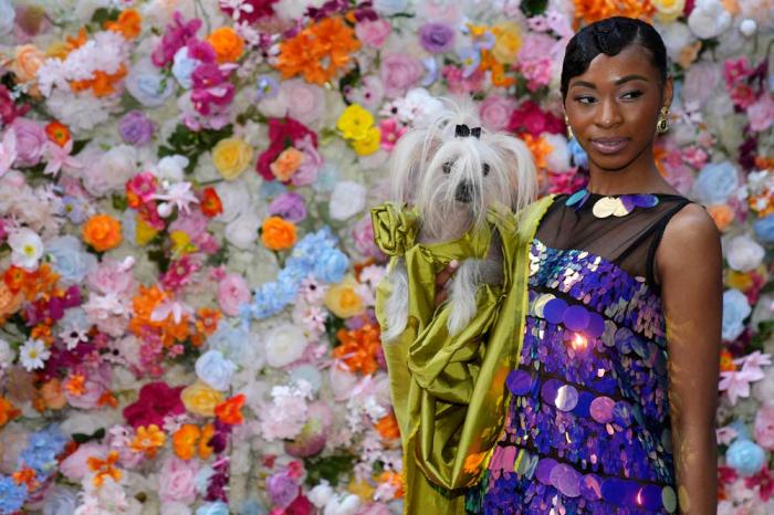 A dog and model attend the Pet Gala fashion show at AKC Museum of The Dog on Monday, May 20, 2024, in New York