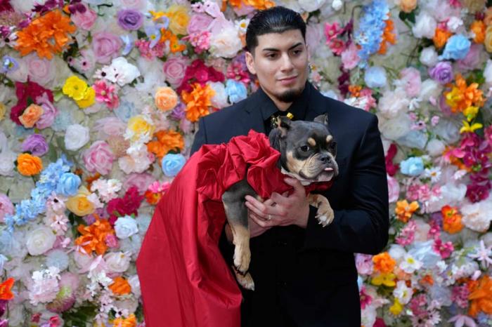 A dog and model attend the Pet Gala fashion show at AKC Museum of The Dog on Monday, May 20, 2024, in New York