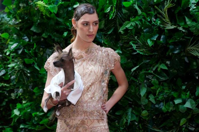 A dog and model attend the Pet Gala fashion show at AKC Museum of The Dog on Monday, May 20, 2024, in New York