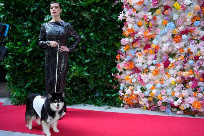 A dog and model attend the Pet Gala fashion show at AKC Museum of The Dog on Monday, May 20, 2024, in New York