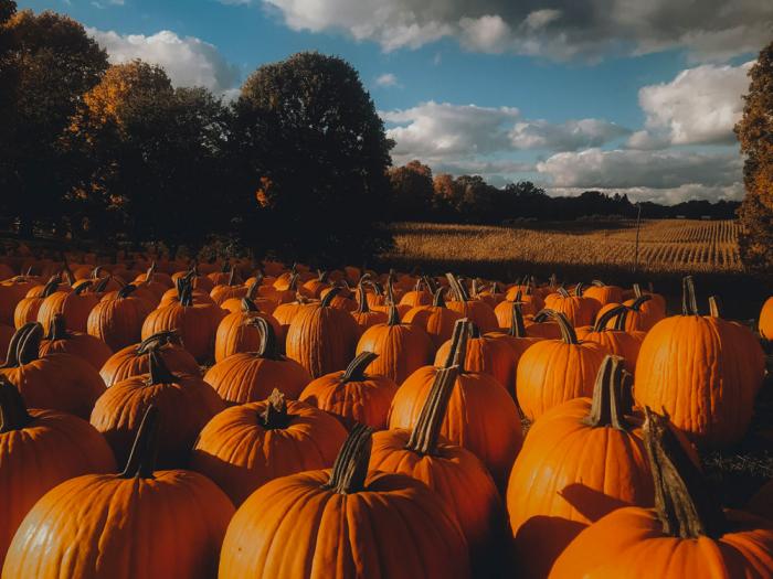 Schultz Fruitridge Farms