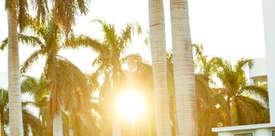 Disruptions: a New Exhibition, Comes to Miami Beach 