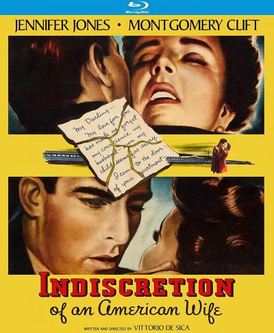 Indiscretion Of An American Wife