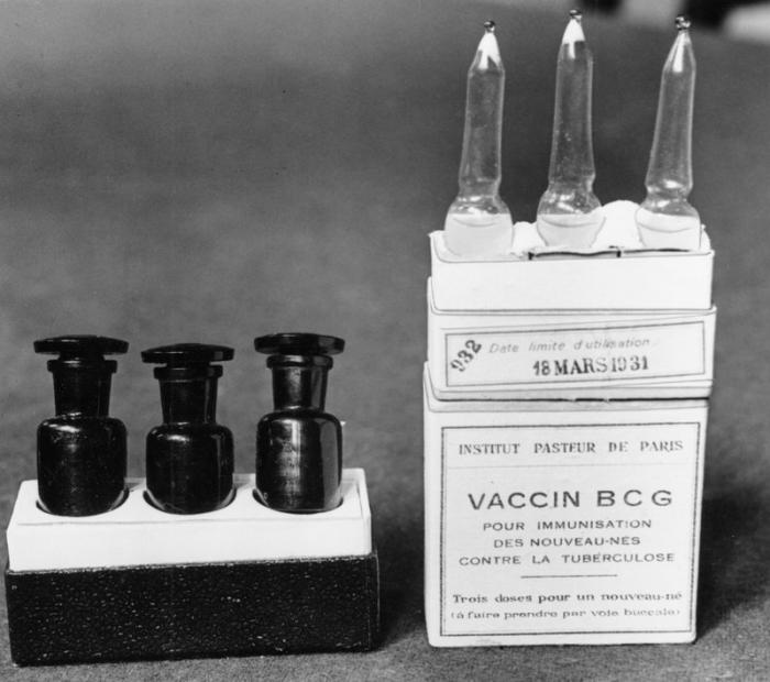 This March 1931 file photo shows ampules of the BCG vaccine against tuberculosis in a laboratory at the Institute Pasteur in Paris, France. Dec. 2, 1947 file photo