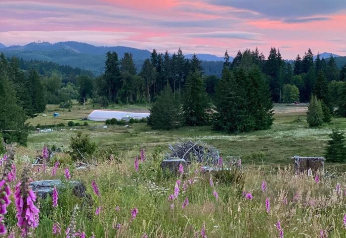 Tweedle Farms: Redefining the Hemp Industry for the 21st Century