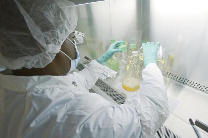 In this May 2020 photo provided by Eli Lilly, a researcher tests possible COVID-19 antibodies in a laboratory in Indianapolis.