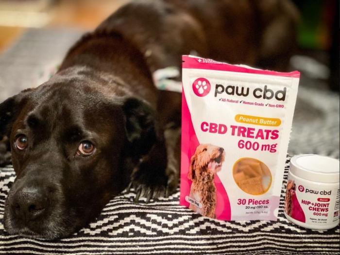 'Treat' Your Dog Right!