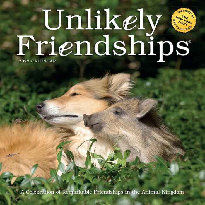 The Unlikely Friendships calendar