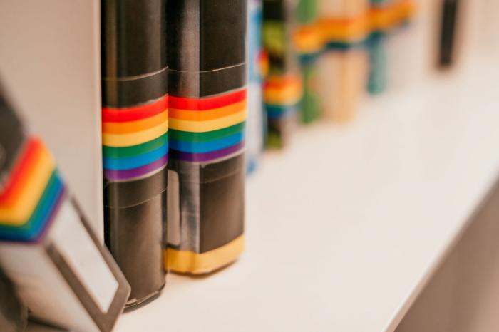Library Caught in Flap over LGBTQ+ Material Loses Millage