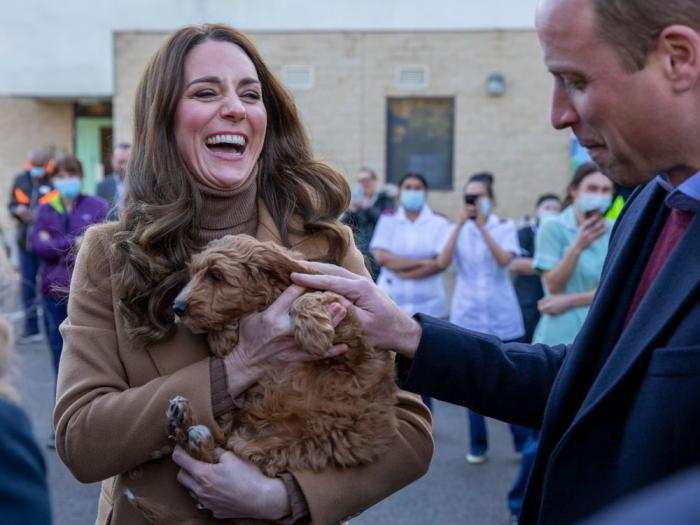 Britain's Prince William and Kate, Duchess of Cambridge meet new 'therapy puppy' Alfie, an apricot cockapoo, during a visit to the Clitheroe Community Hospital, in Lancashire, England, on Jan. 20, 2022. 