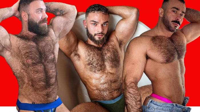 Mr. Teddy Bear, Lui?s Felipe Chiarelli and Manuel Alejandro Mira