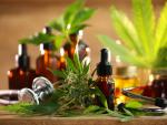 How Groovy Hemp Company Is Setting the CBD Tempo