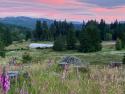 Tweedle Farms: Redefining the Hemp Industry for the 21st Century