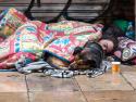 Shelter Not in Place: Solving the LGBTQ Homeless Epidemic