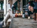 Mixologist Fanny Chu on the Future of Queer Cocktail Culture