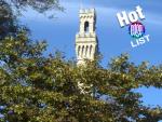 8 Reasons to Fall in Love with Provincetown This Autumn