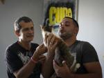 In Cuba, Divisions Over Law to Allow Same-Sex Marriage