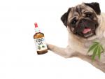 5 Trending CBD Brands to Gift This Holiday Season