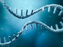 How mRNA and DNA Vaccines Could Soon Treat HIV, Cancers and More