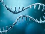 How mRNA and DNA Vaccines Could Soon Treat HIV, Cancers and More