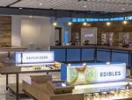 7 Cannabis Considerations for a Growing Industry: What You Need to Know