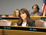 Louisiana 'Don't Say Gay' Bill too Extreme for State Lawmakers