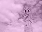 'Pink Friday' Kicks Off The Holiday Season in Provincetown