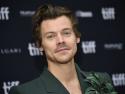 Webby Award Nominations for Harry Styles, Lizzo, Post Malone