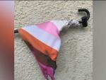 LGBTQ+ Flag Destroyed at LA Elementary School Ahead of Pride Event
