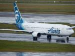 Alaska Airlines Again Grounds All Boeing 737 Max 9 Jetliners as More Maintenance May be Needed 