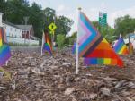 Over 200 Pride Flags Stolen in Massachusetts Town Just Before Pride Month