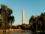 There's Only One DC: This Summer, Catch Some Capital City Culture