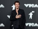 Shawn Mendes' New Tattoo Takes Flight?