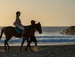 Galloping Into Paradise: A Guide to Provincetown and Beyond