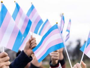 Threatening Diversity, Threatening Growth: The Business Effects of Trump's Anti-DEI and Anti-Trans Agendas
