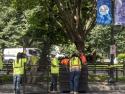As World Pride Flows Straight into the Military Parade, DC Officials Say they're Ready for Anything