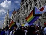 Hungary's LGBTQ+ Community Defies Government Ban on Pride March