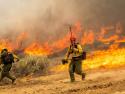 California's Largest Blaze This Year Explodes in Size as Hot Weather Raises Wildfire Risk Statewide