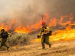 California's Largest Blaze This Year Explodes in Size as Hot Weather Raises Wildfire Risk Statewide