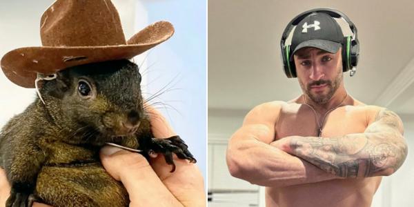 story.edgemedianetwork.com